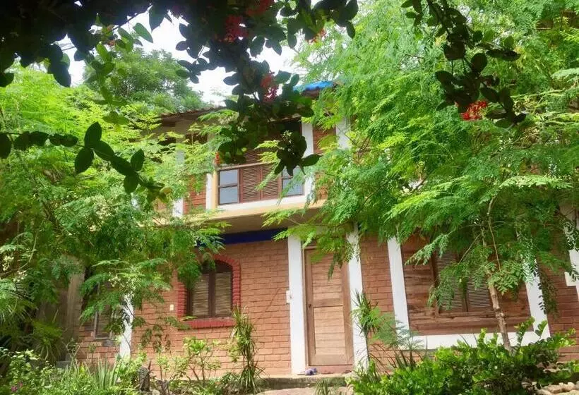 ユースホステル Posada Aketzalli Mazunte