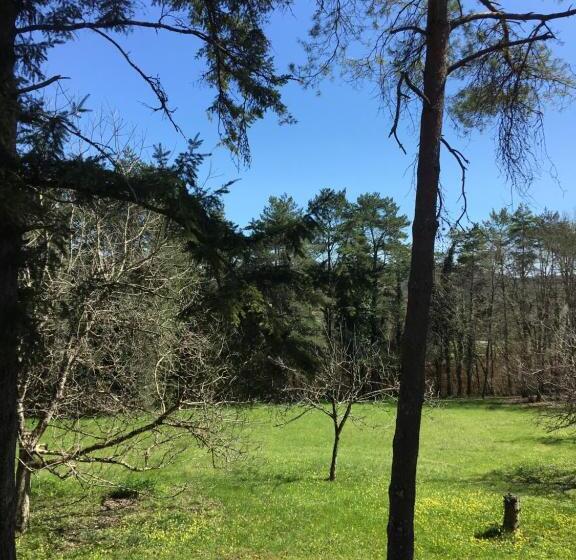 ベッドアンドブレックファースト Chambres D Hotes Les Coustilles