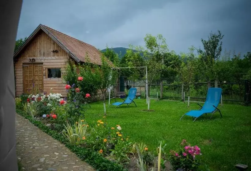 Aamiaismajoitus (B&B) Pensiunea Ileana Adults Only