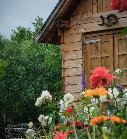 Aamiaismajoitus (B&B) Pensiunea Ileana Adults Only