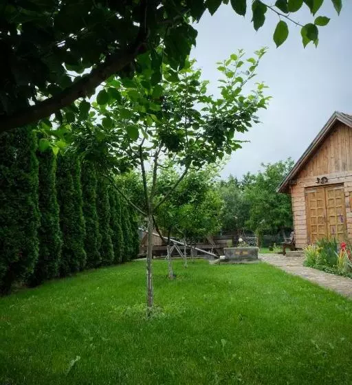 Aamiaismajoitus (B&B) Pensiunea Ileana Adults Only