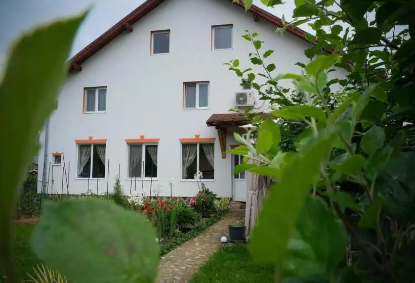 Aamiaismajoitus (B&B) Pensiunea Ileana Adults Only