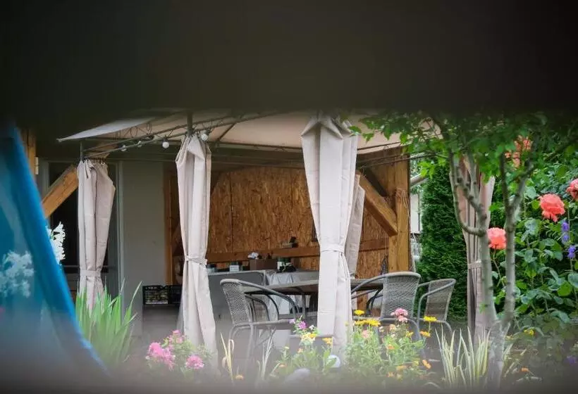 Aamiaismajoitus (B&B) Pensiunea Ileana Adults Only