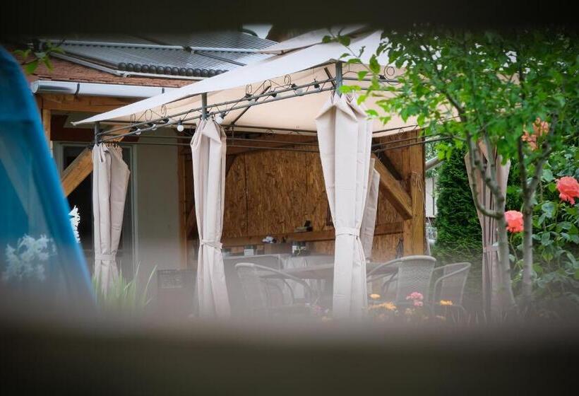 住宿加早餐  Pensiunea Ileana Adults Only