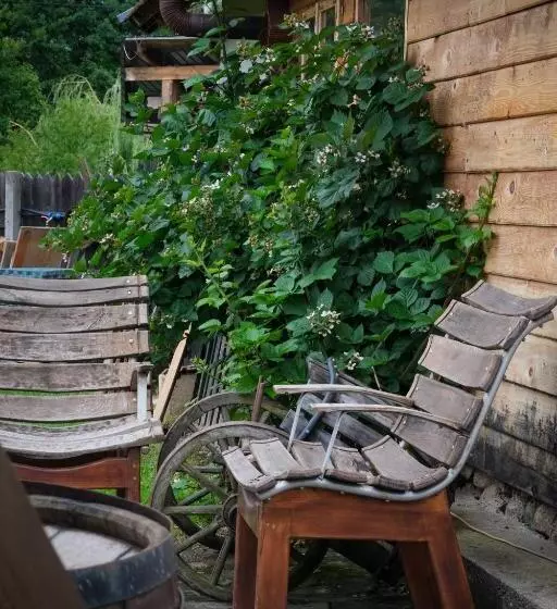 Aamiaismajoitus (B&B) Pensiunea Ileana Adults Only