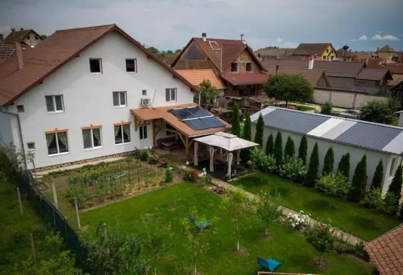 Aamiaismajoitus (B&B) Pensiunea Ileana Adults Only