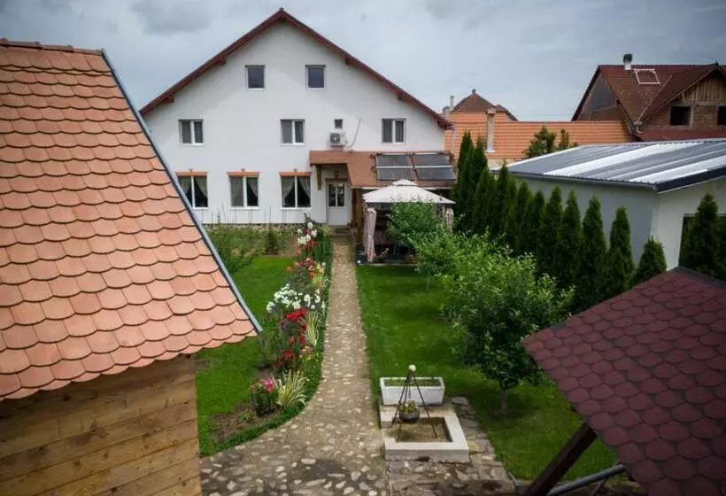 Aamiaismajoitus (B&B) Pensiunea Ileana Adults Only