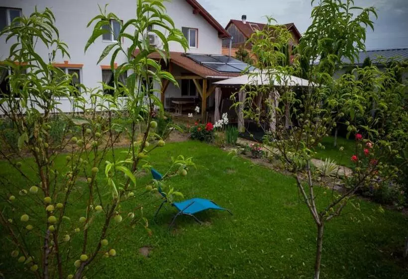 Aamiaismajoitus (B&B) Pensiunea Ileana Adults Only