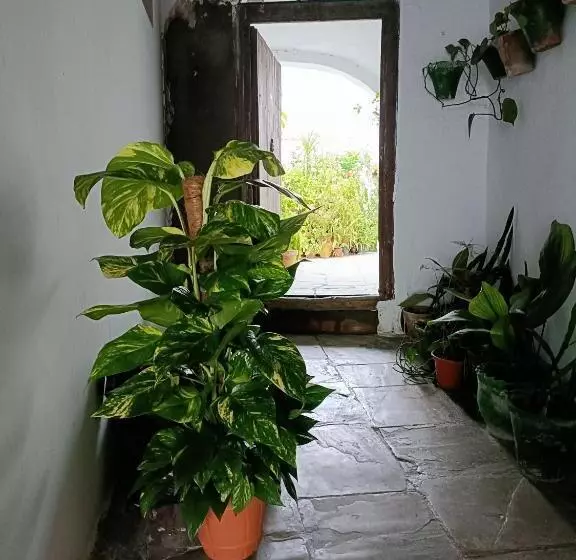 Casa Amalfi, Coqueta Casa Centro Histórico De Vejer