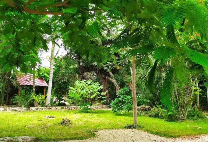 هاستل Estancia Lapislázuli