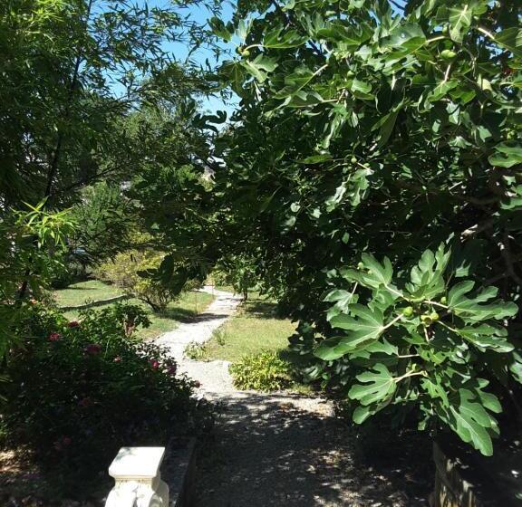 צימר La Maison Des Thermes, Chambre D Hôte