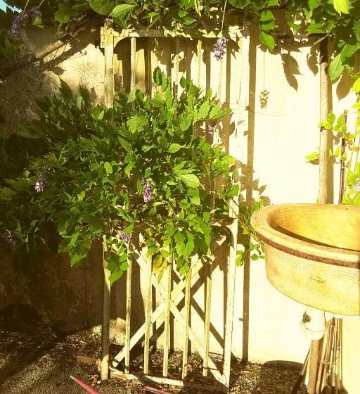 צימר La Maison Des Thermes, Chambre D Hôte