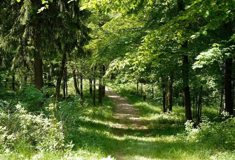 Ferienhäuser Olbernhau Erzgebirge