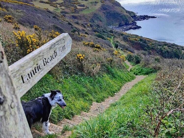 Newly Refurbished 2nd Floor Apartment Lil Nauti