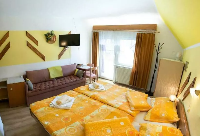 پانسیون Apartments And Rooms Ražen