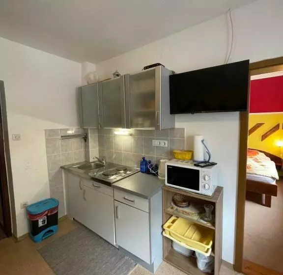 پانسیون Apartments And Rooms Ražen