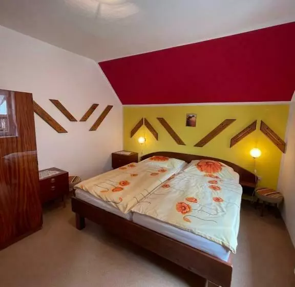 پانسیون Apartments And Rooms Ražen