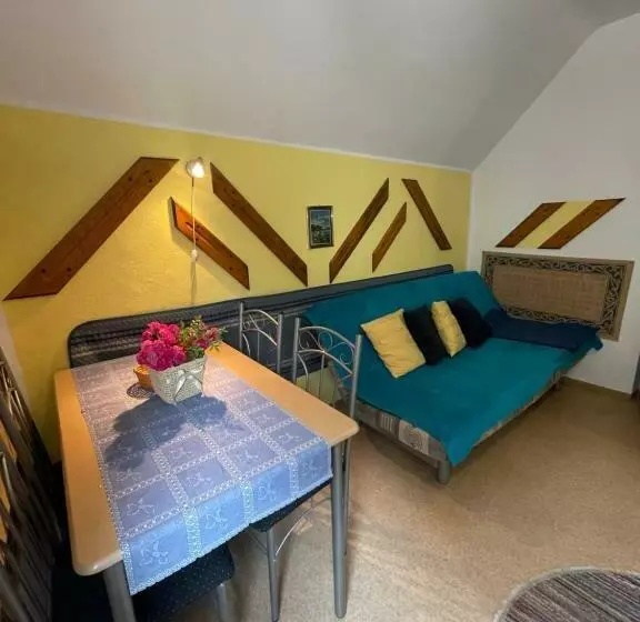 پانسیون Apartments And Rooms Ražen