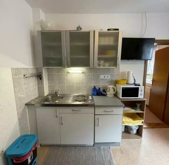 پانسیون Apartments And Rooms Ražen