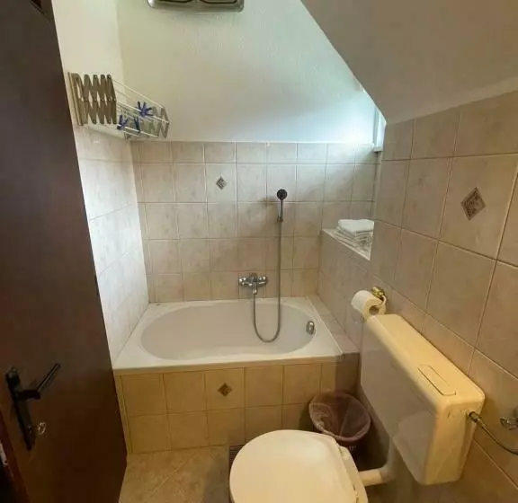 پانسیون Apartments And Rooms Ražen