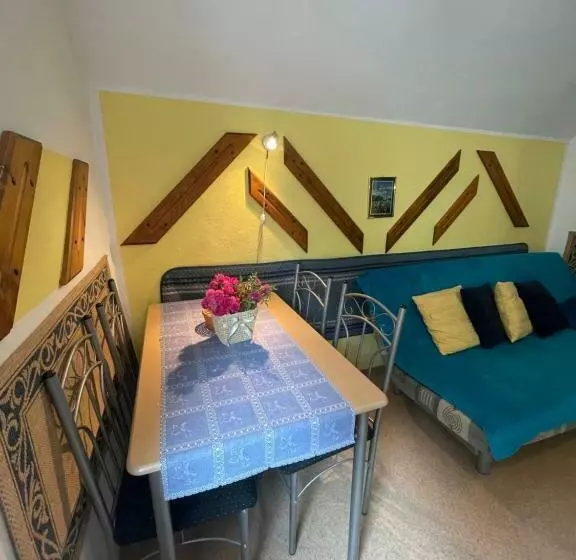 پانسیون Apartments And Rooms Ražen