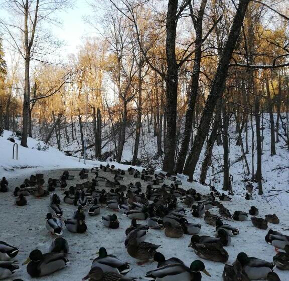 پانسیون Atostogų Namai