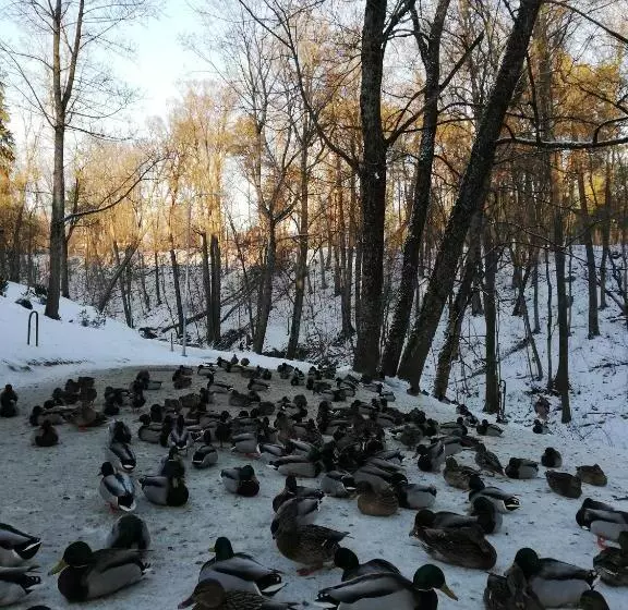 پانسیون Atostogų Namai