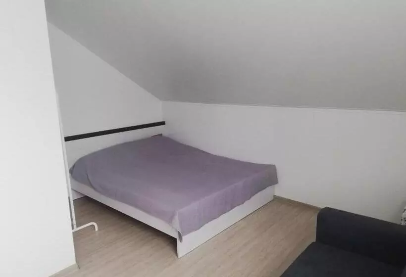 پانسیون Atostogų Namai