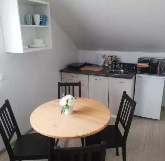 پانسیون Atostogų Namai