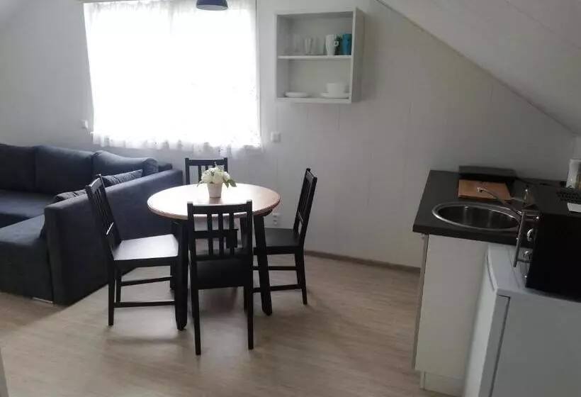 پانسیون Atostogų Namai