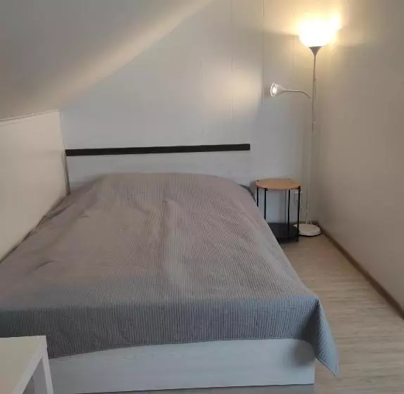 پانسیون Atostogų Namai