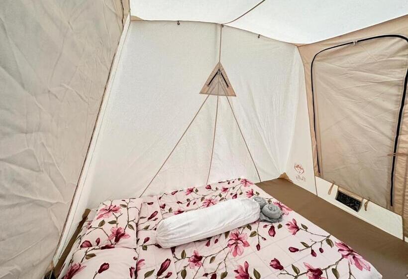 Pensão Ozone By บ้านเขาค้อ