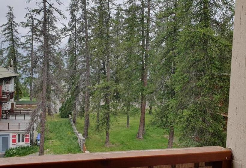 Studio Hyper Centre Valberg