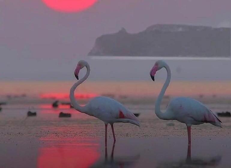 Appartamento Suite Sardinia Holiday