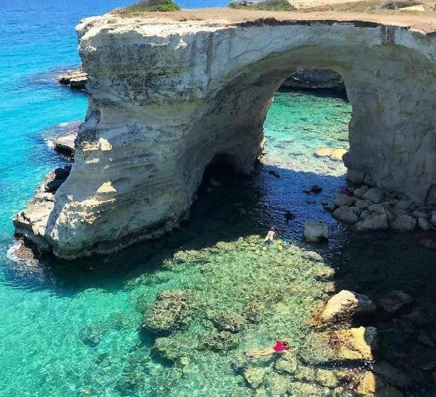 ベッドアンドブレックファースト Bed Nonnonino