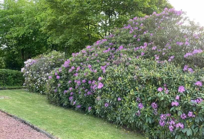 Fairview Bed And Breakfast