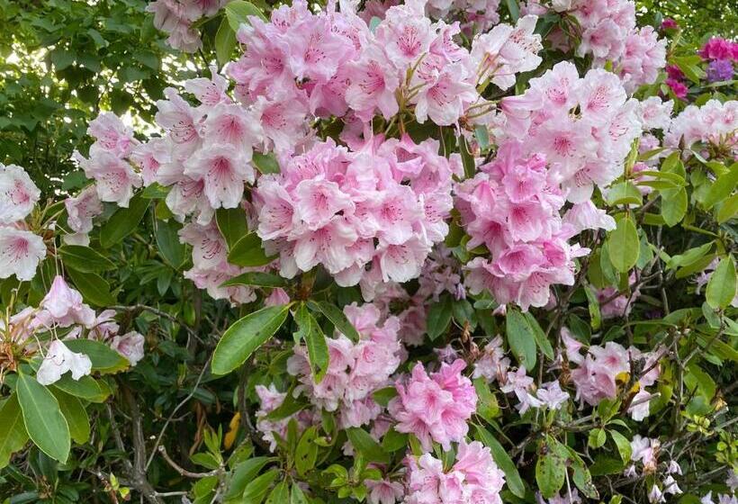 Fairview Bed And Breakfast