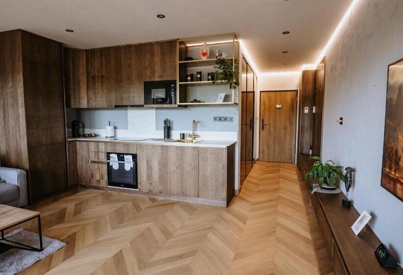 Minimalist Design Penthouse Kosice Old Town