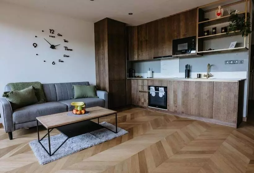 Minimalist Design Penthouse   Kosice Old Town