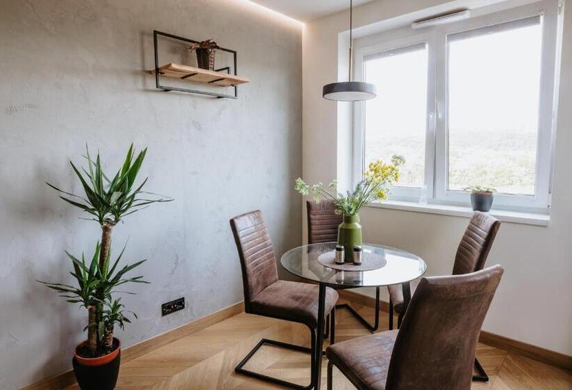 Minimalist Design Penthouse Kosice Old Town