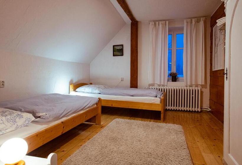 Pensionat Penzion Statek U Rajtrů