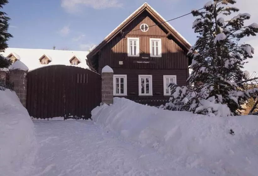 ペンション Penzion Statek U Rajtrů