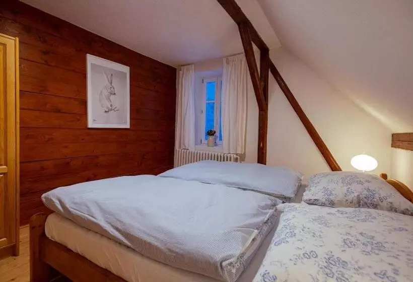 ペンション Penzion Statek U Rajtrů