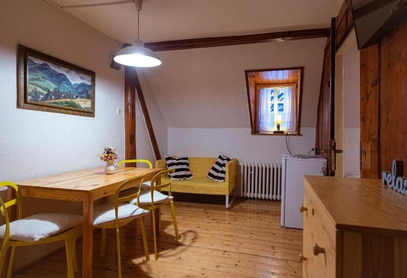 Pensionat Penzion Statek U Rajtrů