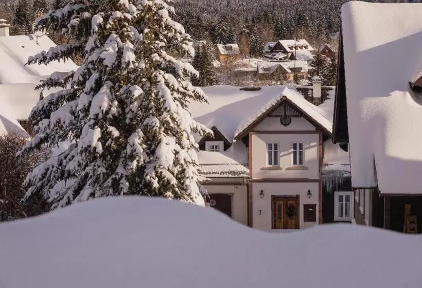 ペンション Penzion Statek U Rajtrů