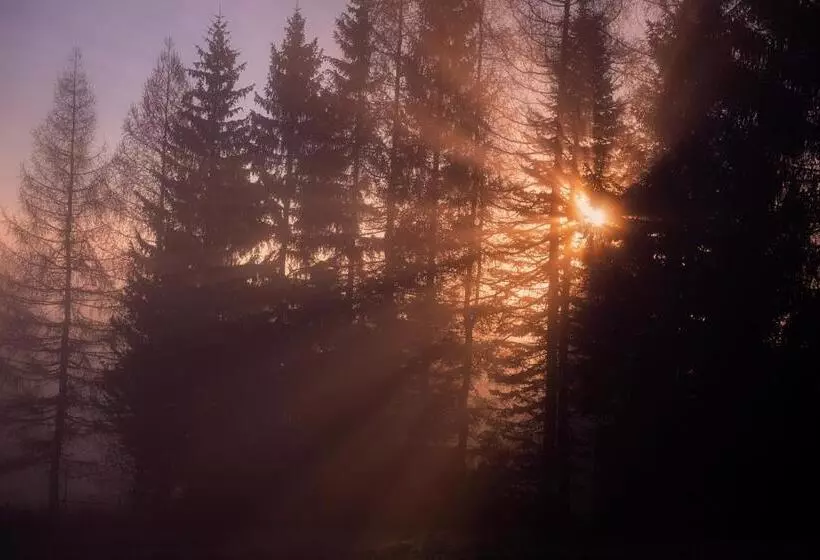 ペンション Penzion Statek U Rajtrů