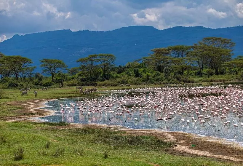 هتل Mbweha Camp Lake Nakuru