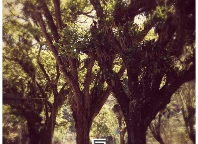 تختخواب و صبحانه Casa Piabanha   Centro Histórico