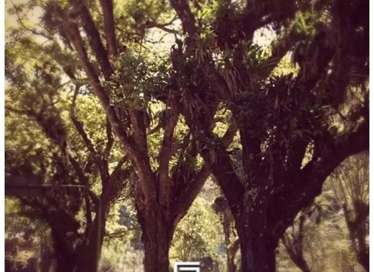 ベッドアンドブレックファースト Casa Piabanha   Centro Histórico