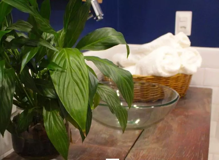 ベッドアンドブレックファースト Casa Piabanha   Centro Histórico